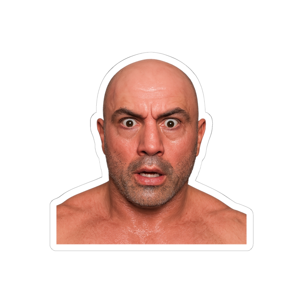 Joe Rogan Sauna Face